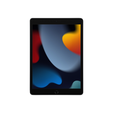 iPad 9.Nesil WiFi 256GB 10.2 inç